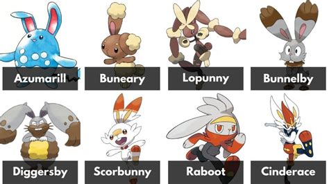 rabbit pokemon|rabbit pokemon names.